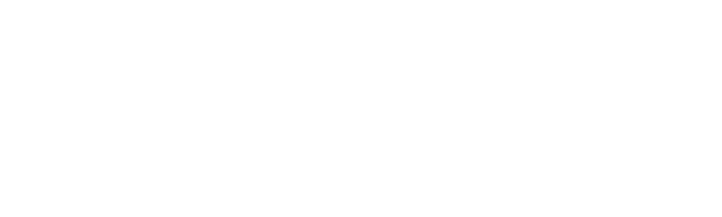 softpagetechnologies.com